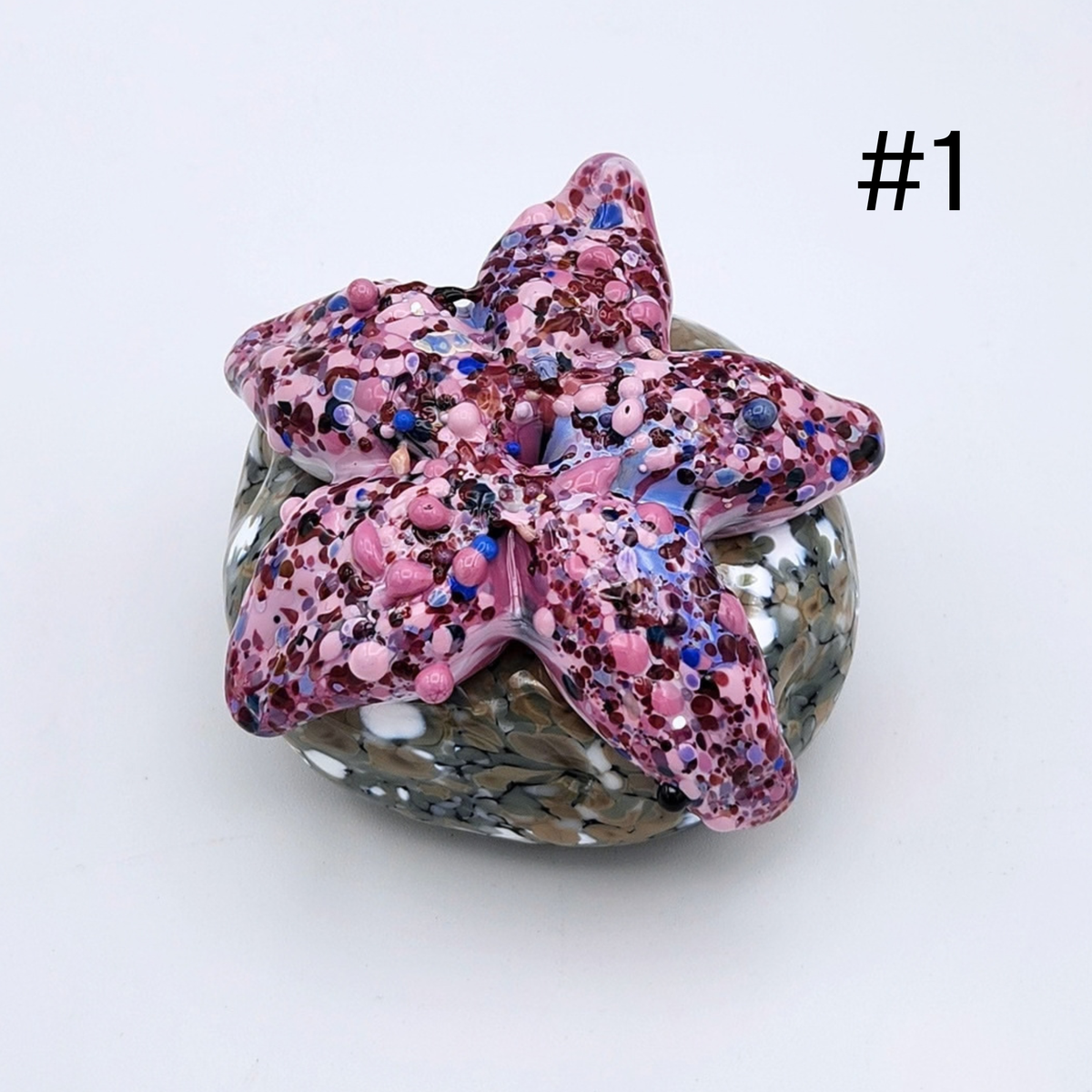 Hand Sculpted Glass Starfish on 'Rocks' by Tim “Lefty” Jaquet