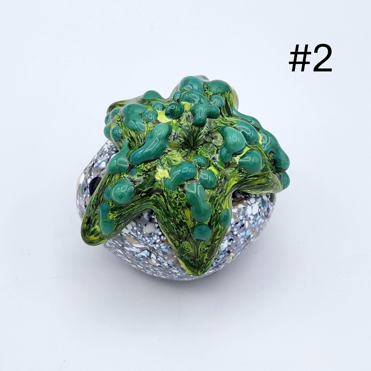 Hand Sculpted Glass Starfish on 'Rocks' by Tim “Lefty” Jaquet