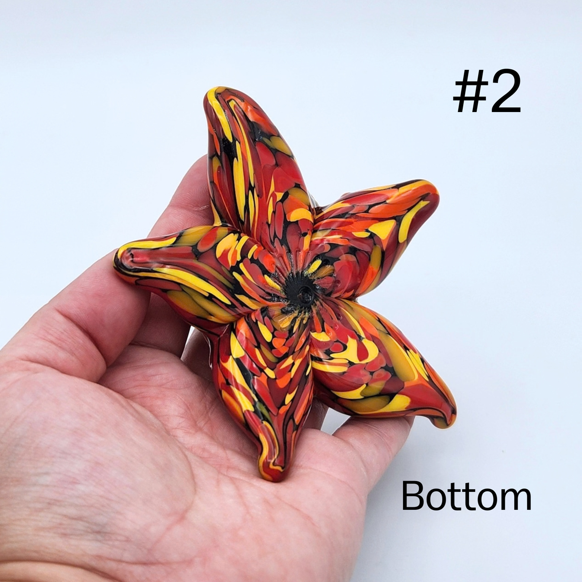 Hand Sculpted Glass Starfish by Tim “Lefty” Jaquet